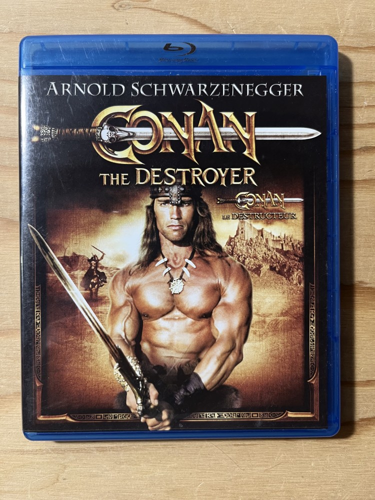 Conan the Destroyer