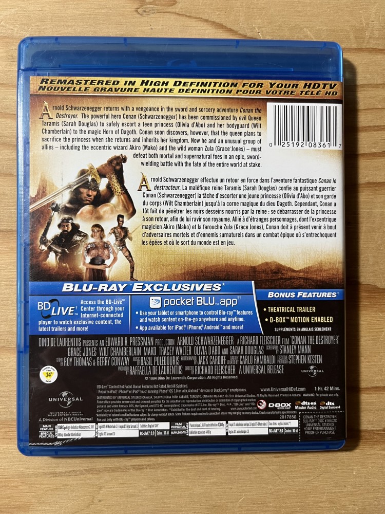 Conan the Destroyer - Image 2