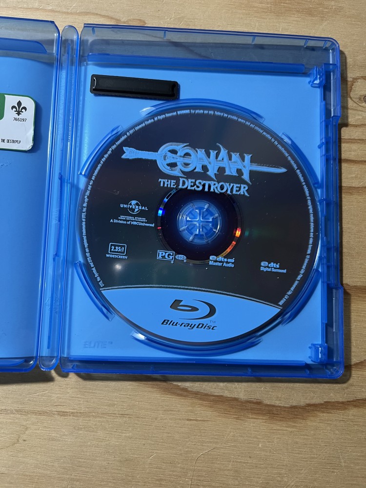 Conan the Destroyer - Image 3