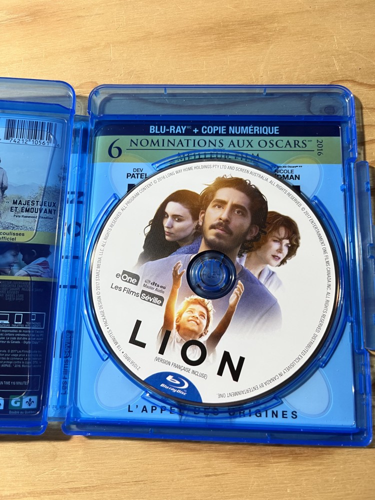 Lion - Image 3